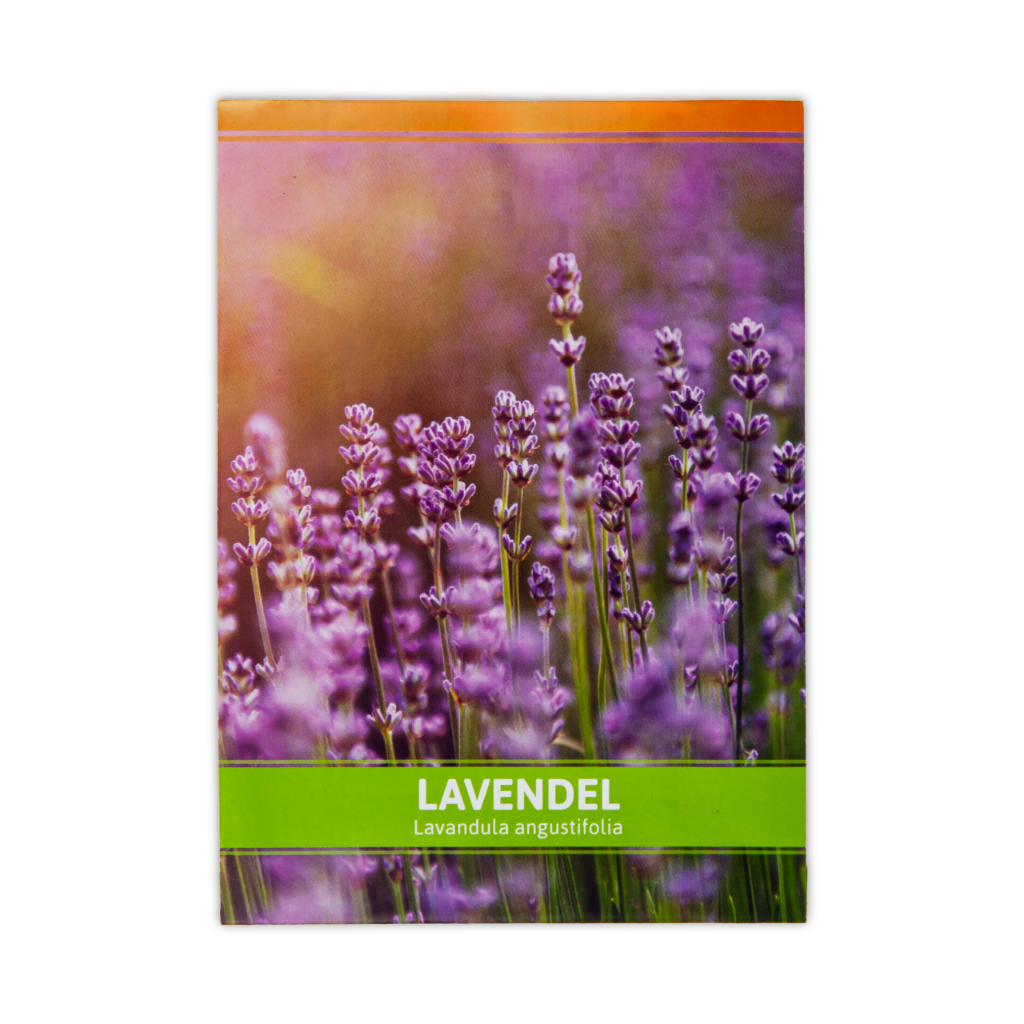 LAVENDEL SAMEN