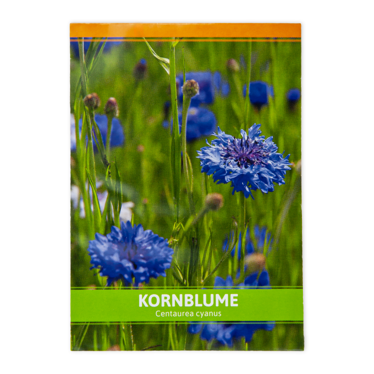 KORNBLUME SAMEN